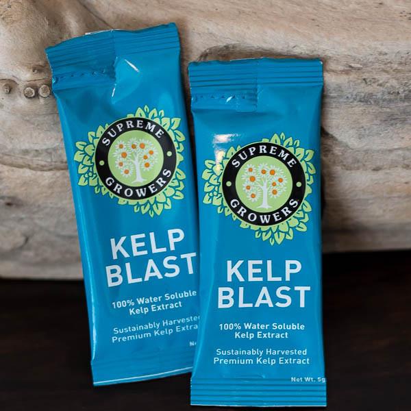 Kelp Blast Fertilizer 2-Pack - Pepper Joe's