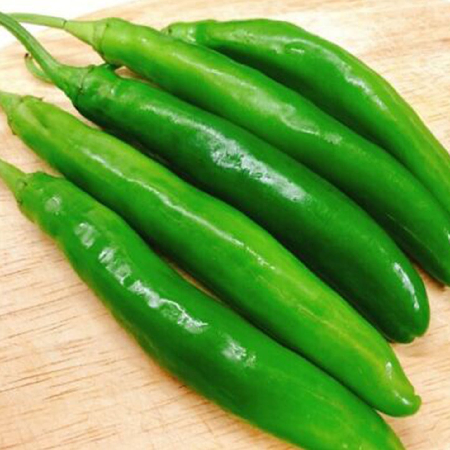 Pepper Joe's Korean Beauty Cucumber Pepper Seeds