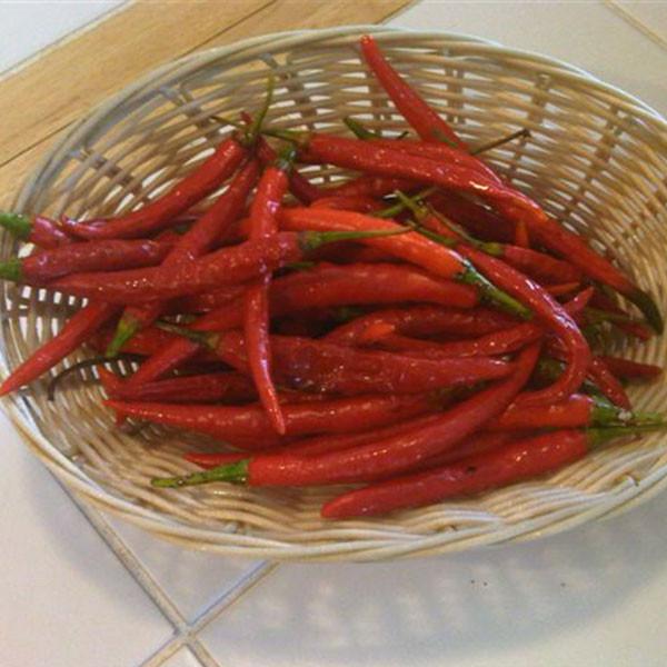 Kung Pao Pepper - Hot Pepper - Pepper Joe's