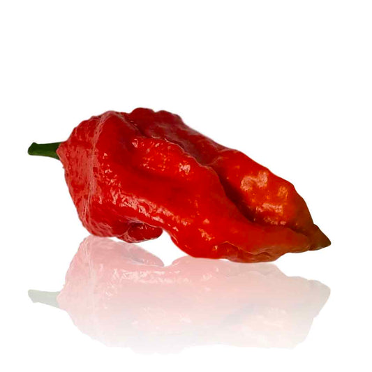 Ma Mutant X Red Pepper Seeds Superhot