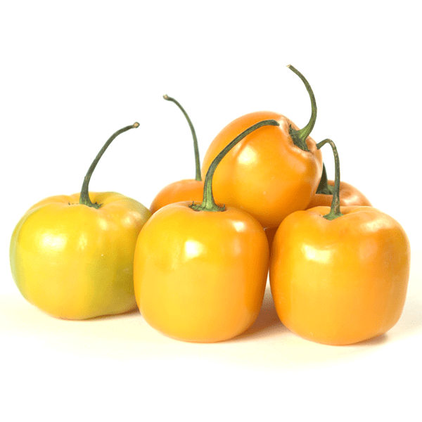 yellow manzano pepper