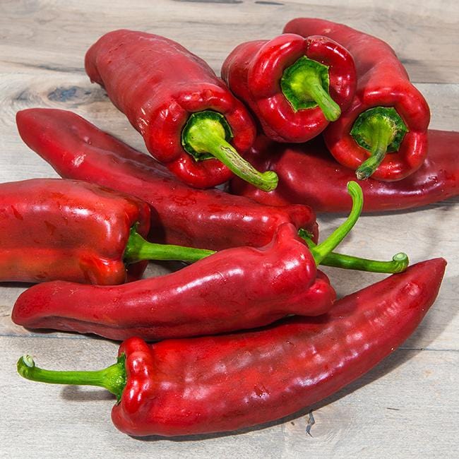 Marconi Italian Red Pepper Seeds Sweet