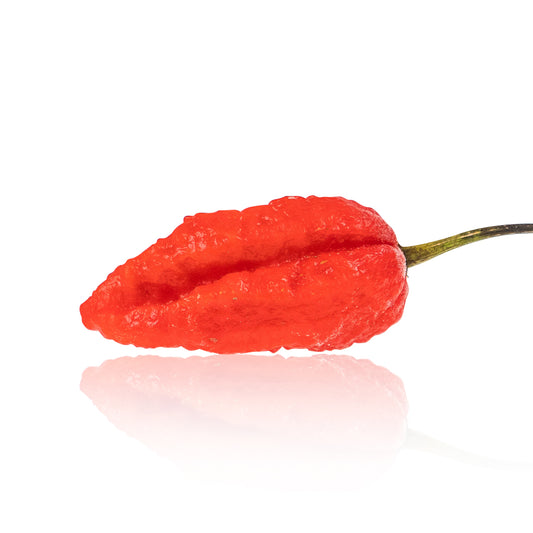Pepper Joe's Mojo Pumpkintail seeds - Mojo Pumpkintail pepper pod on white background