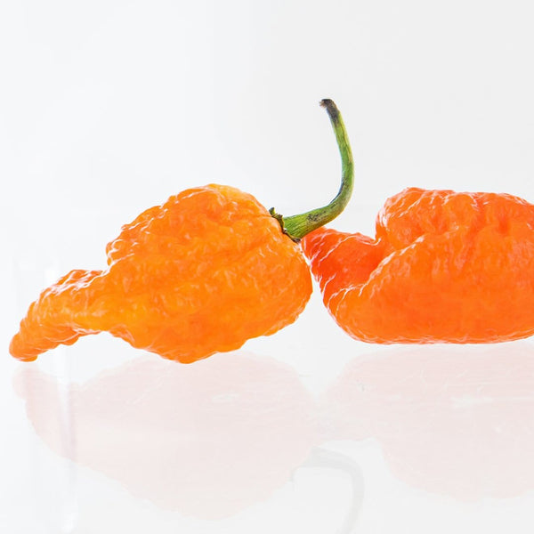 Peach Mutant X Pepper Seeds – Pepper Joe's