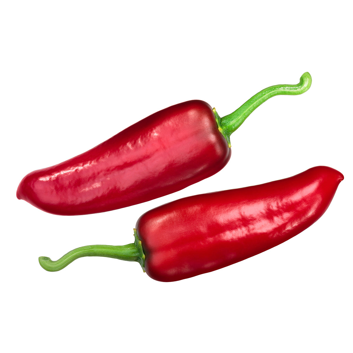 Numex Joe E Parker Pepper Seeds Novelty