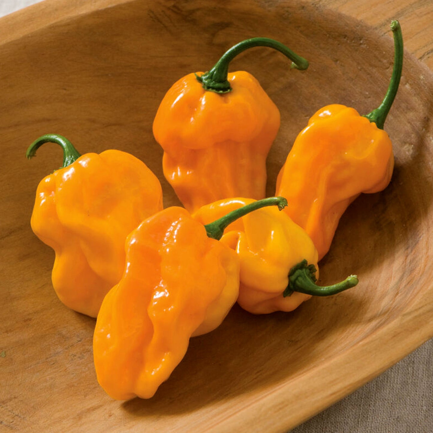 Pepper Joe's NuMex Suave Orange Pepper Seeds