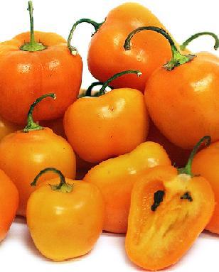 Orange Rocoto Pepper Seeds Novelty