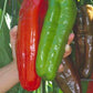 Marconi Giant Pepper Seeds Sweet