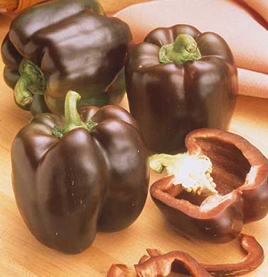 Chocolate Beauty Pepper Seeds Sweet