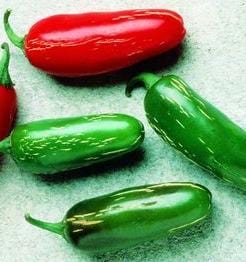 Tam Jalapeno Pepper Seeds