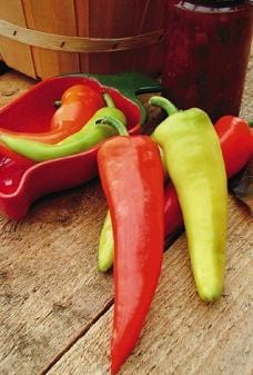 Dantes Hot Pepper Seeds Novelty