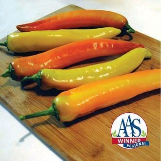 Hot Sunset F1 Pepper Seeds Novelty