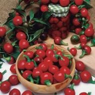 Piccante Calabrese Pepper Seeds Novelty