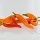 Pepper Joes Thai Blend Seeds Novelty