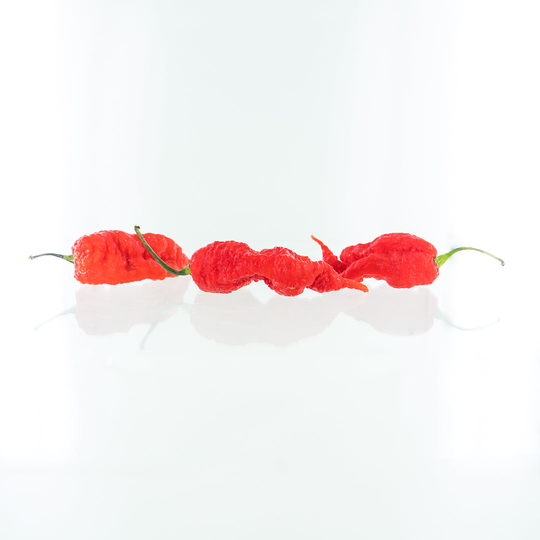 Pepper Joe's Primotalii Red chili seeds - three red Primotalii peppers on white background