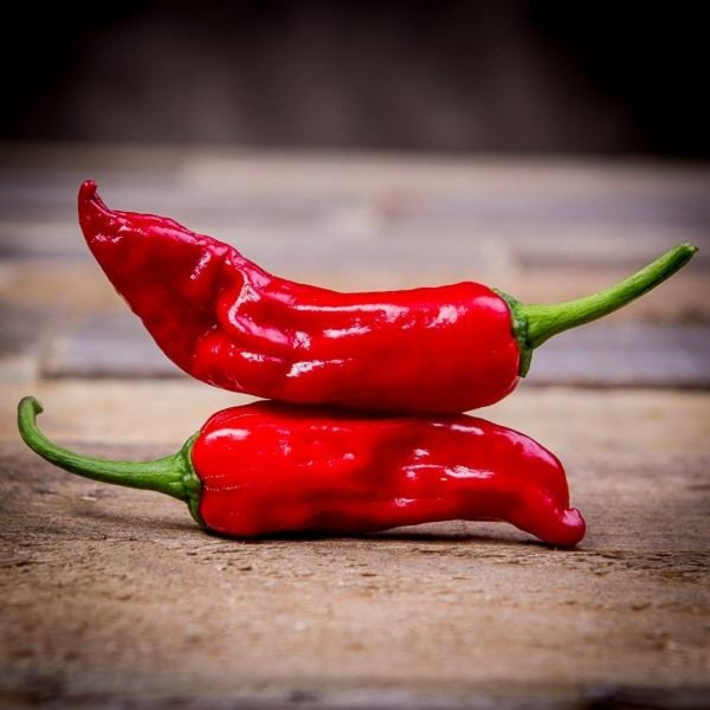 Red Italian Pepperoncini Ripe Peppers on wood used to display pepper seeds for sale