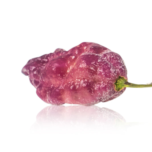 Pepper Joe's Pink Tiger Peach Ghost pepper seeds - Pink Tiger Bhut Jolokia pepper pod on white background
