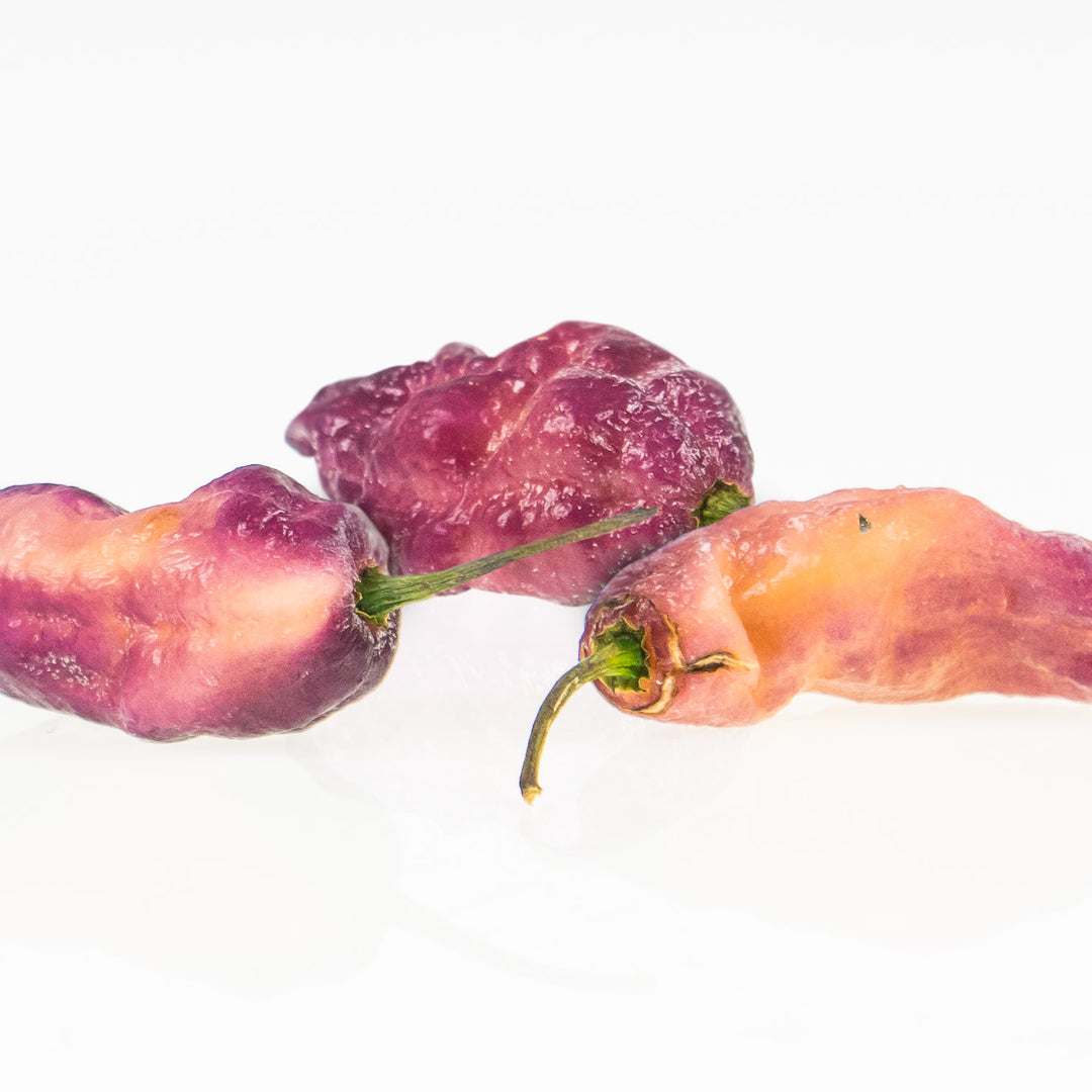 Pepper Joe's Pink Tiger Peach Bhut Jolokia pepper seeds - three pink tiger ghost pepper on white background