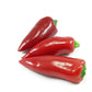 red piquillo peppers can be roasted piquillo peppers or stuffed piquillo peppers