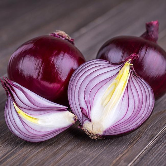 Cabernet Red Onion Seeds
