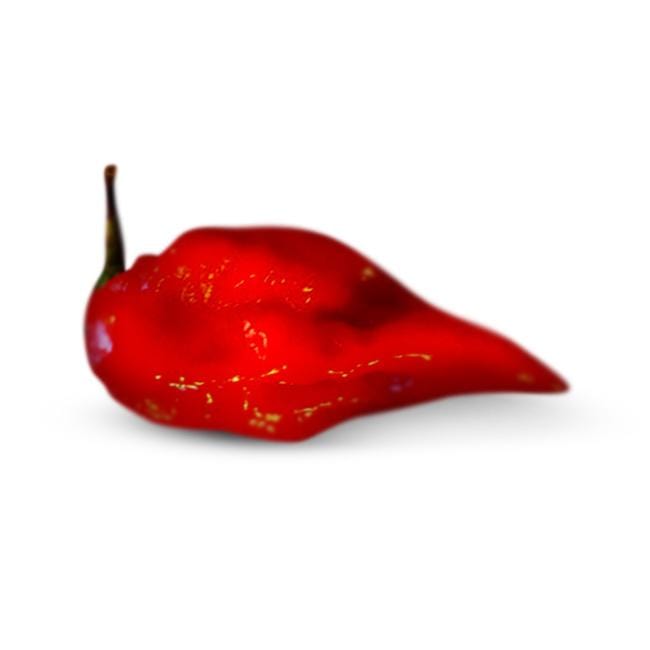 Red Devil's Tongue pepper