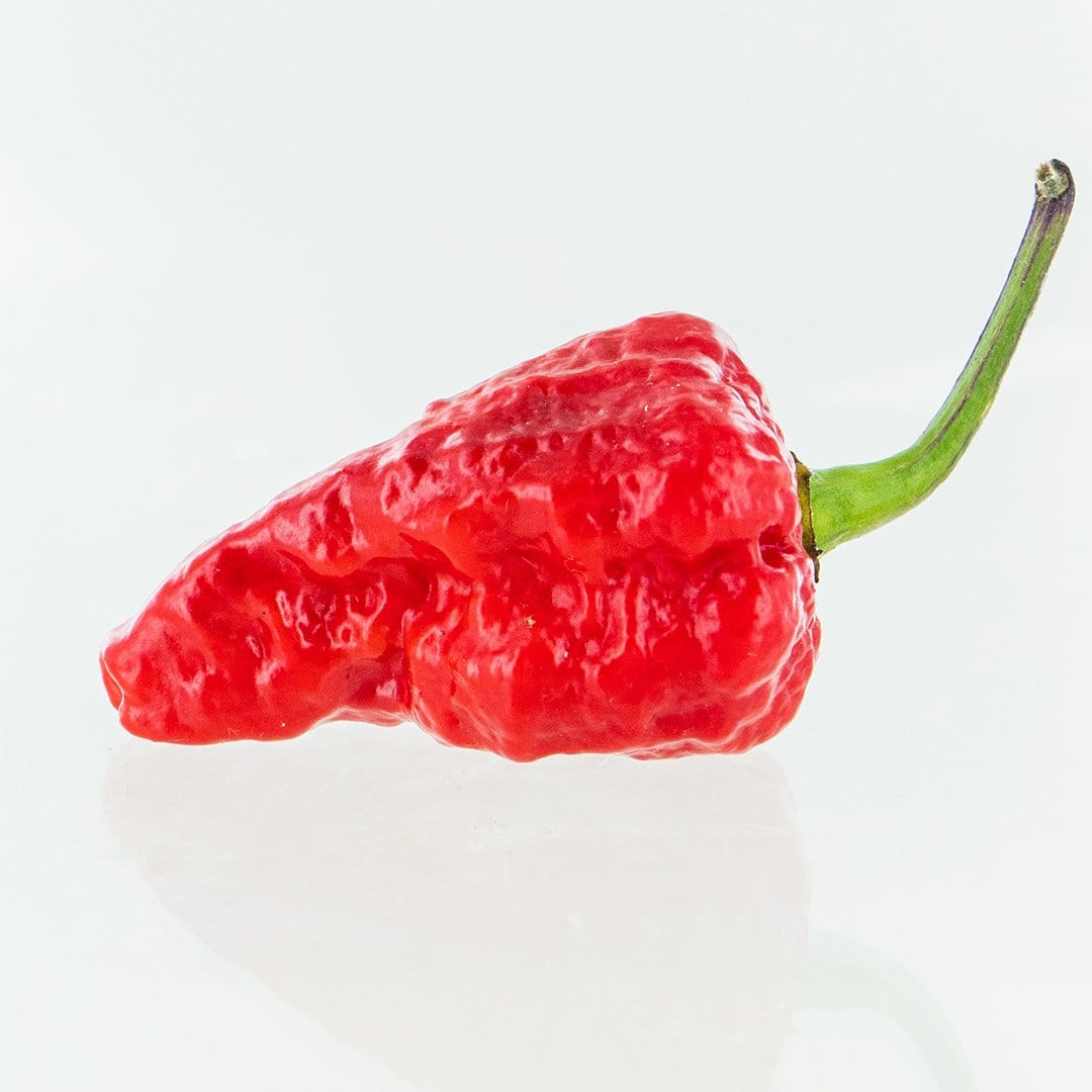 Red Naga Brain Pepper Seeds Superhot