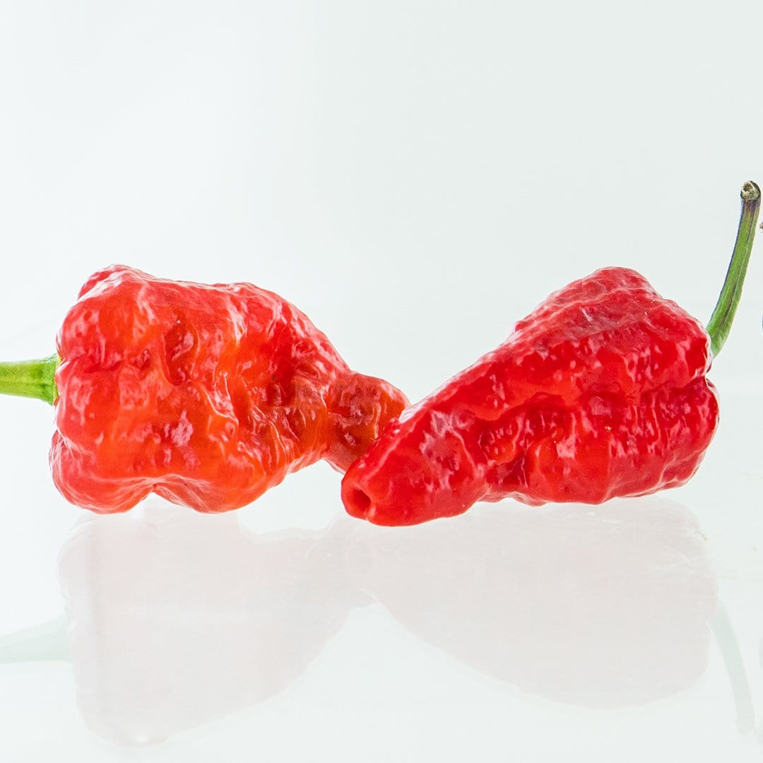 Red Naga Brain Pepper Seeds Superhot