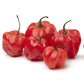 Pepper Joe's red bonnet pepper seeds - red scotch bonnets on white background