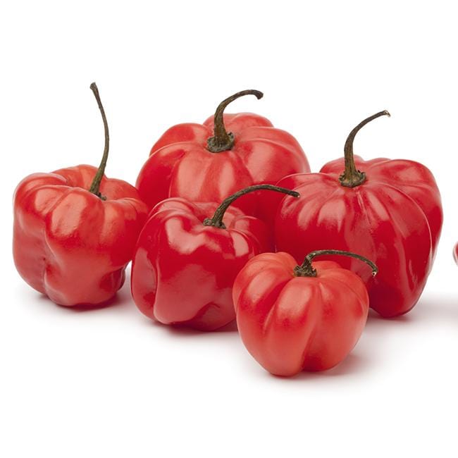 Pepper Joe's red bonnet pepper seeds - red scotch bonnets on white background