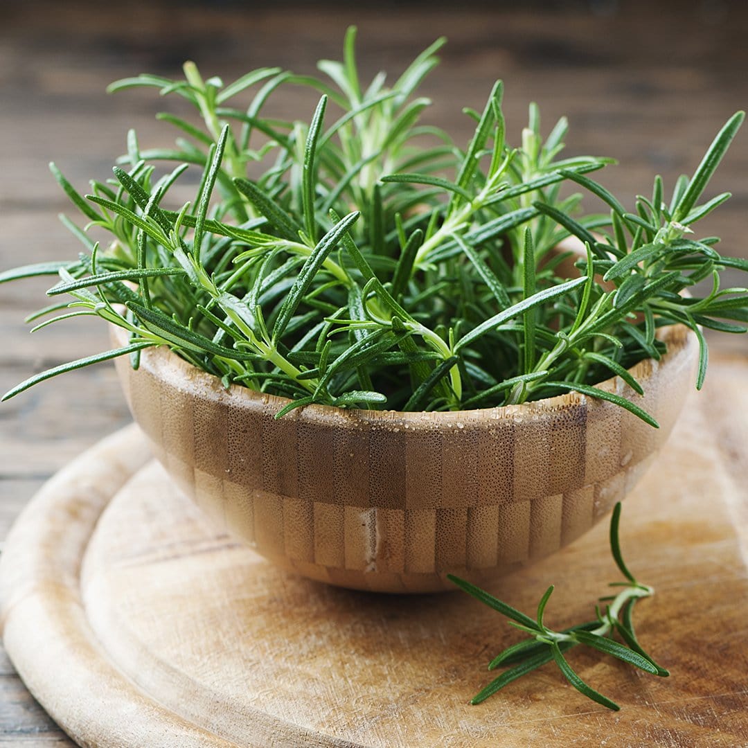 Rosemary Seeds