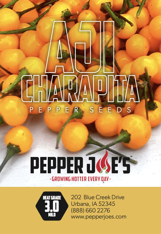 Aji Charapita Pepper Seeds Novelty