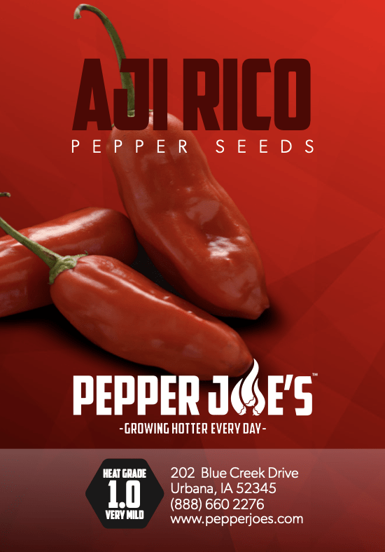 Aji Rico Pepper Seeds Novelty