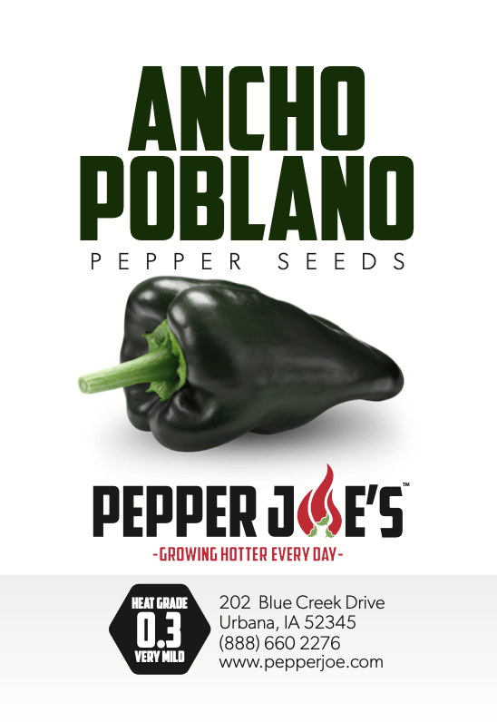 Ancho Poblano Pepper Seeds Novelty
