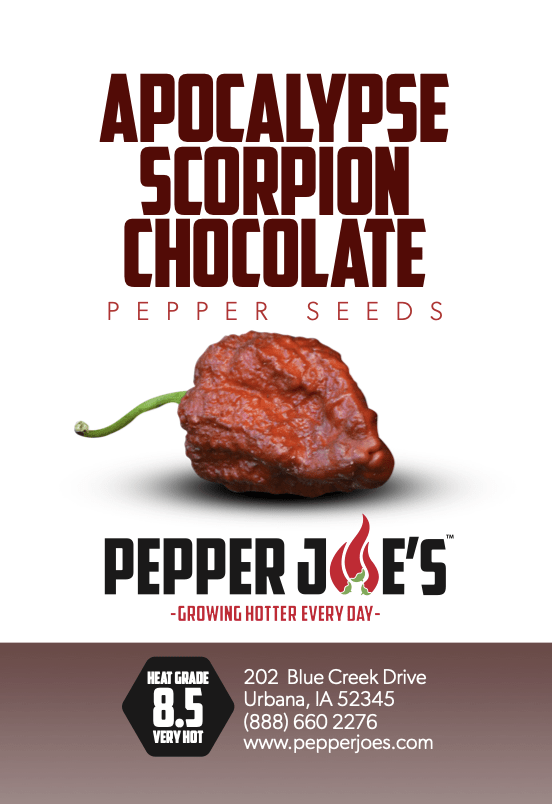 Apocalypse Scorpion Chocolate Pepper Seeds Superhot