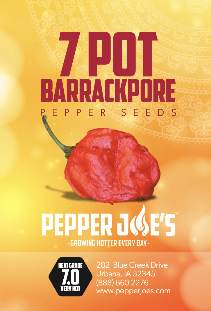 7 Pot Barrackpore Pepper Seeds Superhot