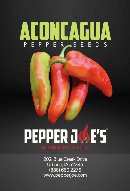 Aconcagua Pepper Seed Sweet