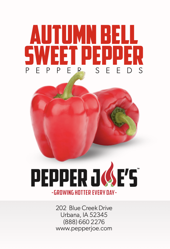 Autumn Bell Sweet Pepper – Pepper Joe's