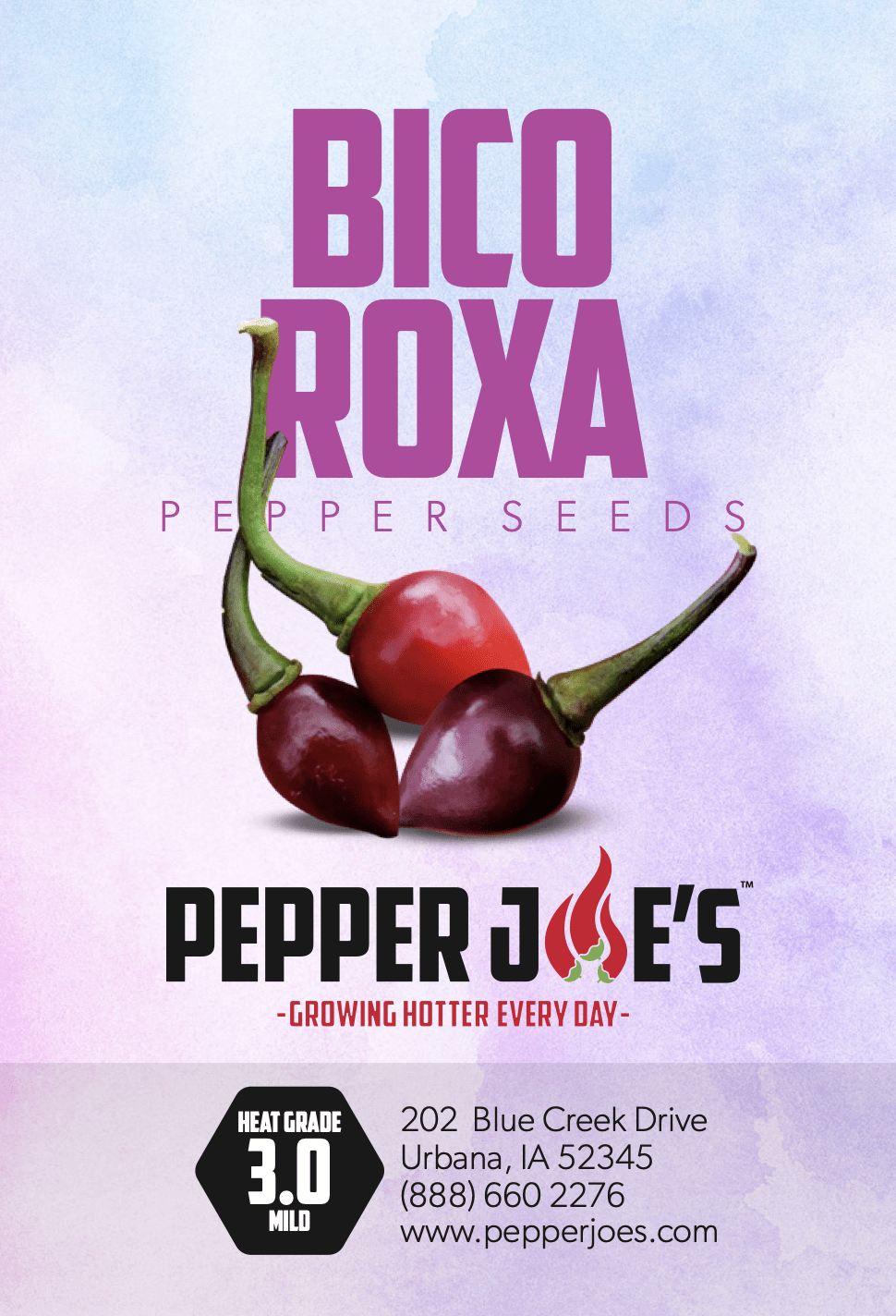 Bico Roxa Pepper Seeds Novelty