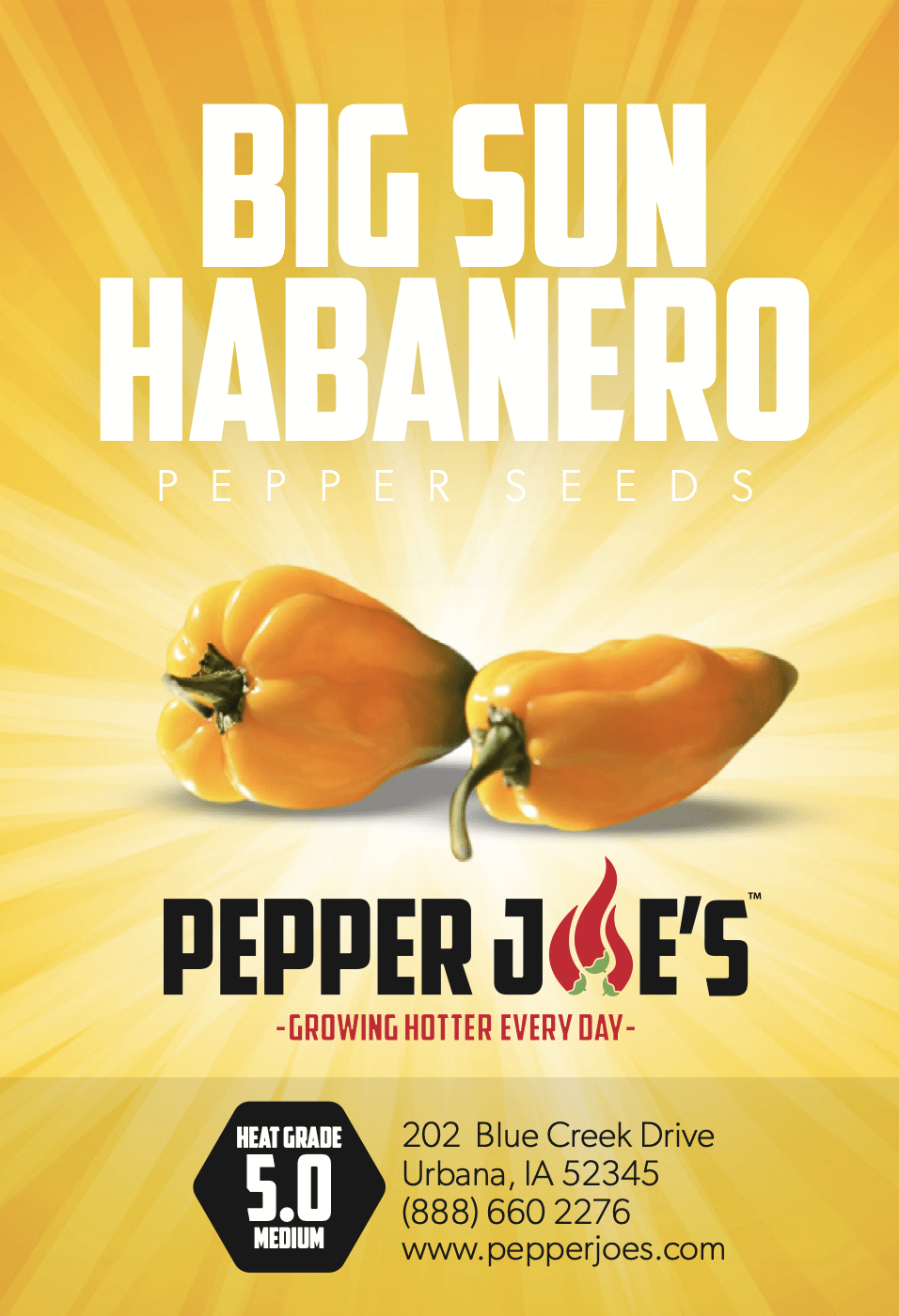 Big Sun Habanero Pepper Seeds