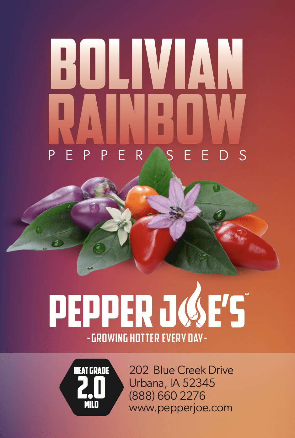 Bolivian Rainbow Pepper Seeds Novelty