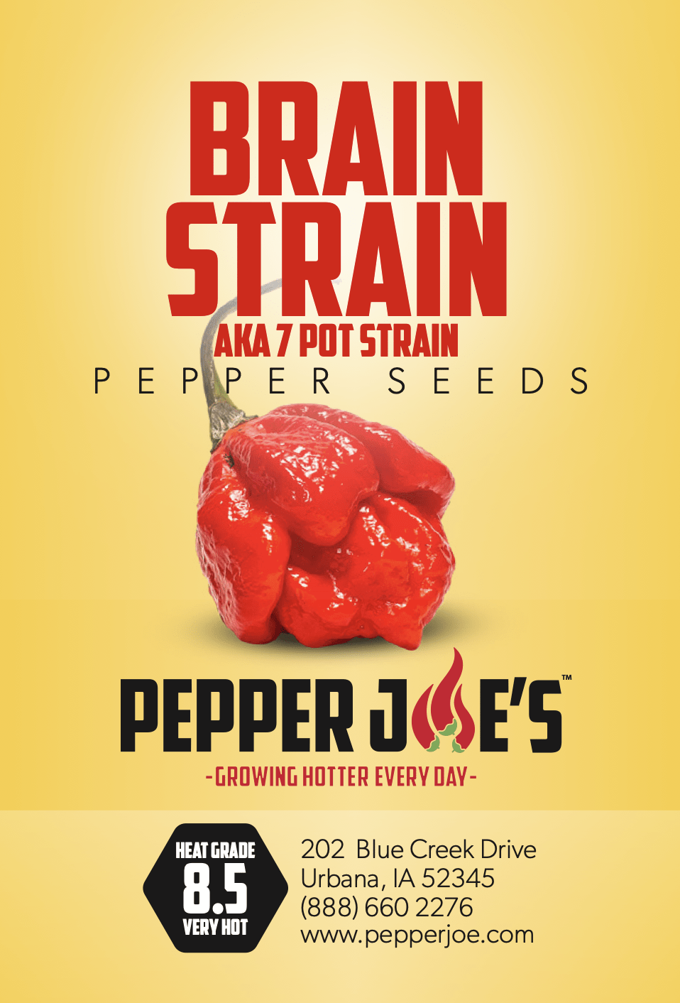 Pepper Joe's Brain Strain seeds - seed label