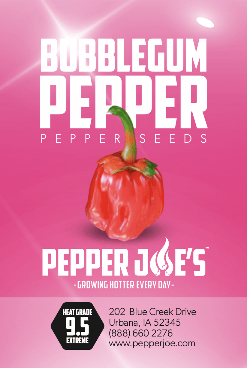 Bubblegum 7 Pot Pepper Seeds Pepper Joe’s