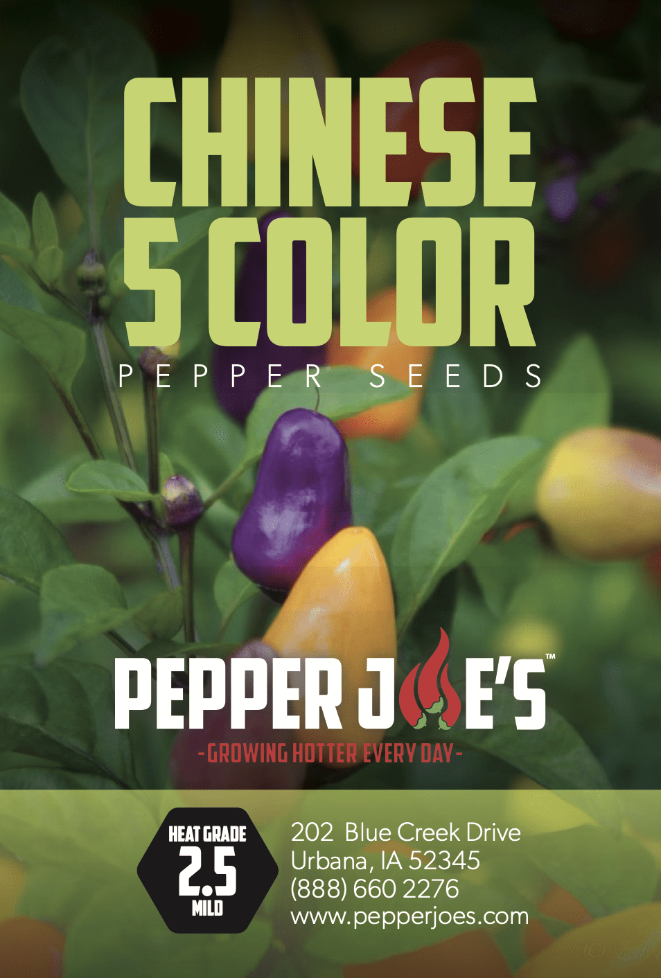Chinese 5 Color Pepper Seeds Novelty