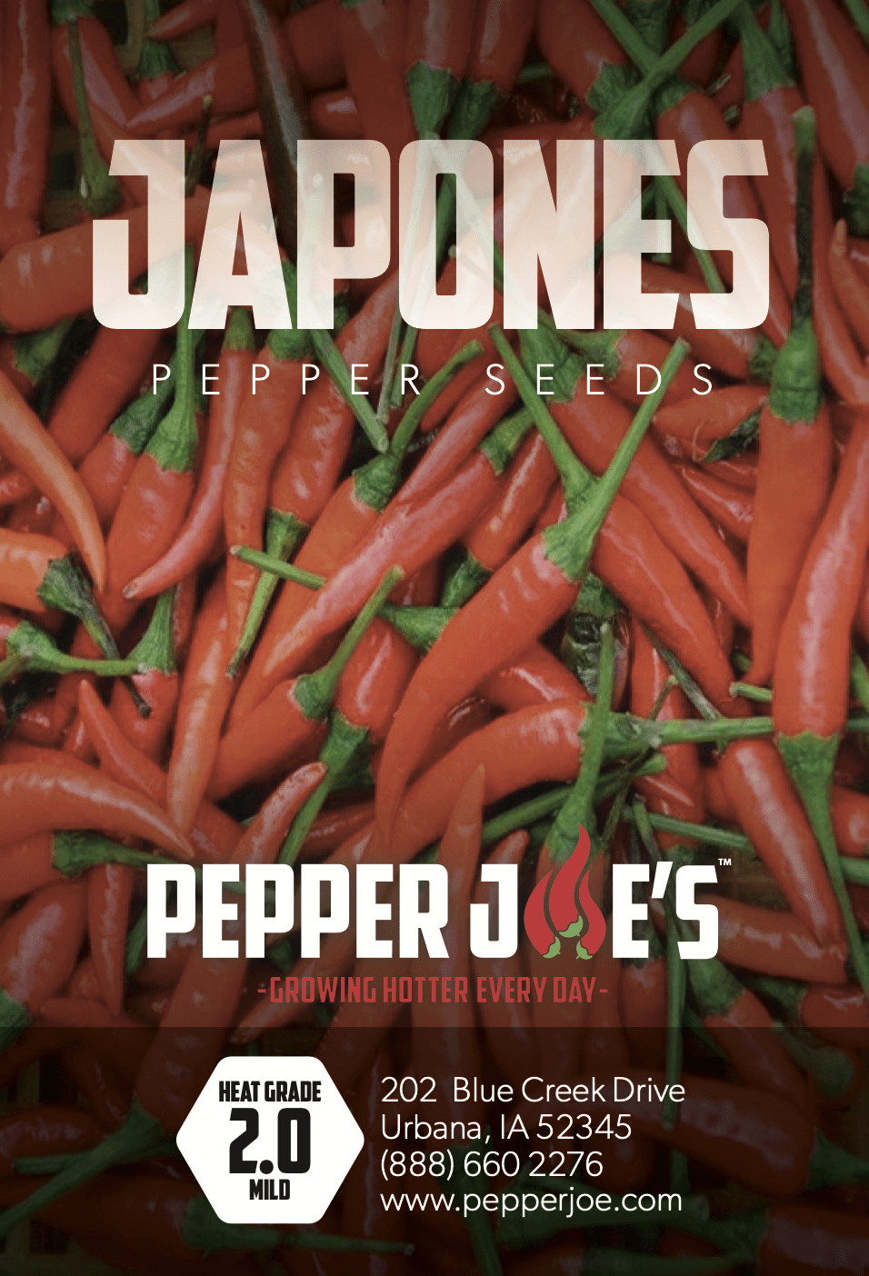 Japones Pepper Seeds Novelty