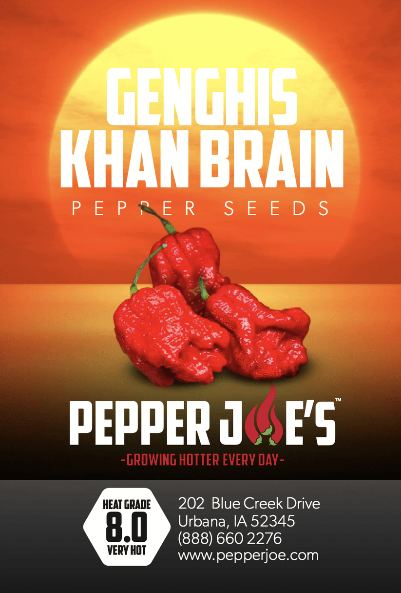 Genghis Khan Brain Pepper Seeds Pepper Joe’s