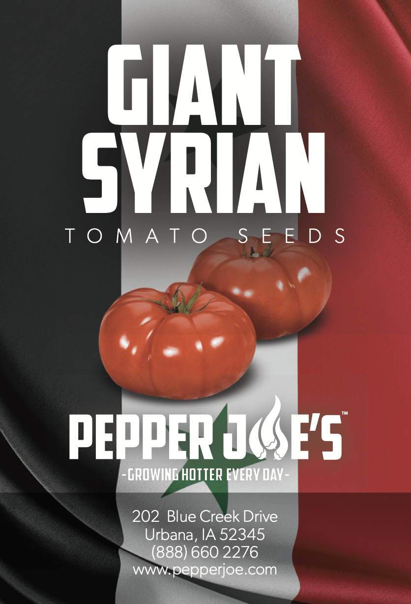 Giant Syrian Tomato Seeds