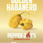 Pepper Joe's golden habanero pepper seeds - seed label