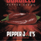 Guajillo Pepper Seeds Novelty