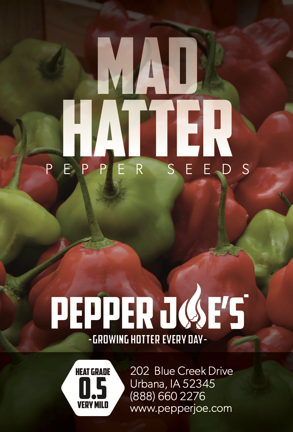 Mad Hatter Pepper Seeds Novelty