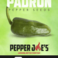 pepper joe's padron chili pepper